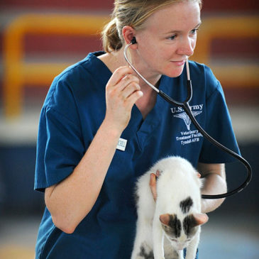 Dr Sasha Davis Veterinarian in Adelaide, South Australia